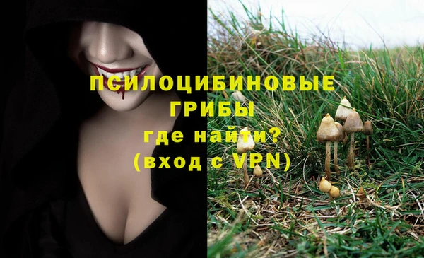 гашишное масло Нязепетровск