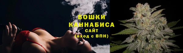 молекула духа Нягань