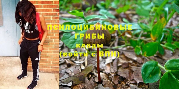 мет Няндома