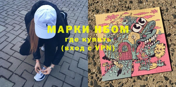 мет Няндома