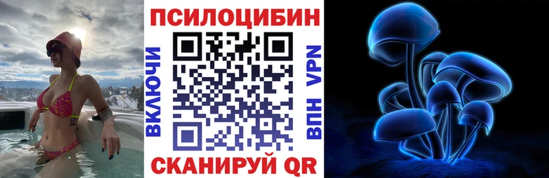 Купить закладки  Кемерово  Галлюциногенные грибы мицелий 